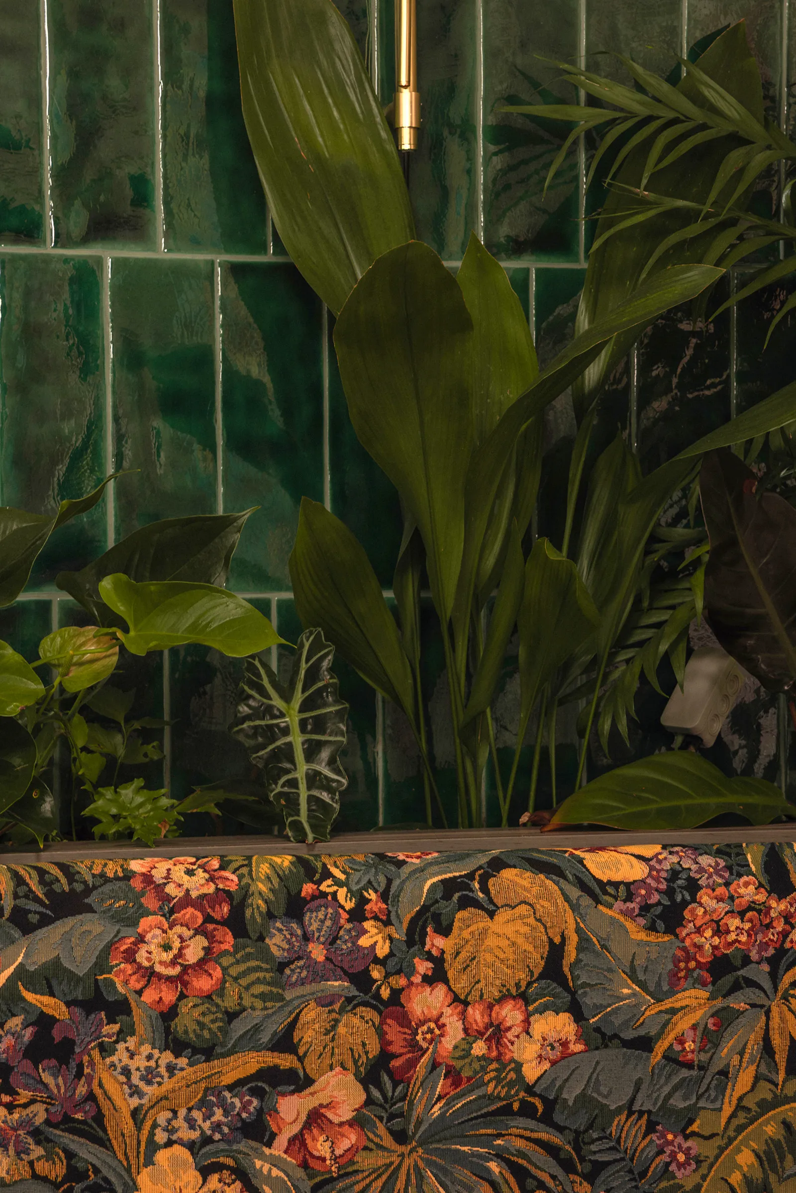 Vegetation framed against green glazed tile